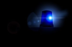 Muškarac osumnjičen za ubistvo konja na Zlatiboru: Udarao ga drvenim štapom i gađao kamenjem posle čega je uginuo