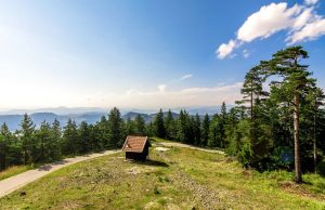 Kada počinje letnja sezona na Torniku i šta nas sve očekuje?