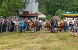 Održan seoski višeboj u Jablanici (VIDEO)