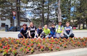 Zbog sve učestalijih krađa cveća, KJP Zlatibor pozvalo građane da prijave prestupe komunalnoj miliciji