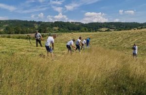 U nedelju 28. jula „Etno kosidba“ u Šljivovici. Donosimo vam detaljan program manifestacije