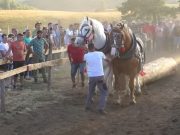 Održana Štraparijada na Zlatiboru, u spektakularnom takmičenju konja, evo ko su bili favoriti (VIDEO)
