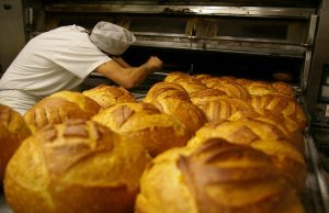 Želite da pokrenete sopstveni biznis? NSZ i opština Čajetina daju do 330000 dinara, evo koji su uslovi!