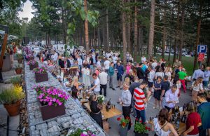 27. jula se održava Vinomanija na Zlatiboru. U sklopu događaja i besplatan koncert Ane Štajdohar