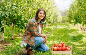 Za razvoj preduzetništva žena na selu bespovratna sredstva do 500000 dinara. Evo kako da se prijavite