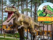 Dino park organizuje humanitarnu akciju za kupovinu holter EKG aparata (VIDEO)