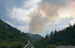 Požar u selu Stublo, gori privatna četinarska šuma. Meštani se nadaju da će vatrogasci obuzdati vatru