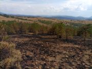 Kakva je situacija sa požarom u kanjonu Uvca? Vazduh na Zlatiboru dobrog kvaliteta