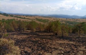 Kakva je situacija sa požarom u kanjonu Uvca? Vazduh na Zlatiboru dobrog kvaliteta