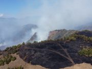 Alarmantno stanje u kanjonu Uvca! Vatrena stihija zahvatila preko 100 hektara (VIDEO)