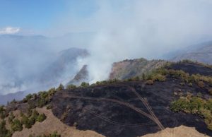 Alarmantno stanje u kanjonu Uvca! Vatrena stihija zahvatila preko 100 hektara (VIDEO)