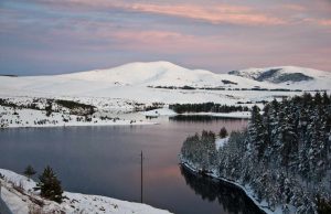 PREDIVNA IDEJA – Romantična veridba na Ribničkom jezeru u bajkovitoj zimskoj idili (VIDEO)