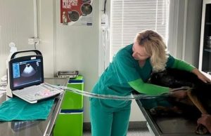 Nastavlja se opremanje Zoohigijene – Stigao je novi ultrazvuk, a stanovnici Čajetine imaju ove pogodnosti