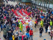 Karavan praznika mimoze na Zlatiboru 19. januara